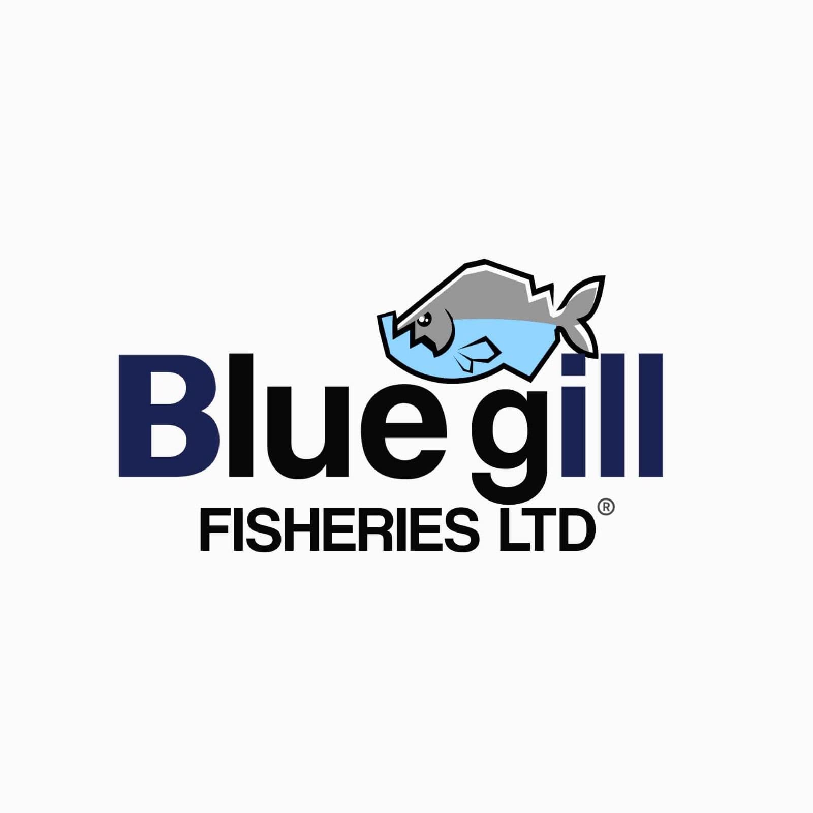 Blue gill Fisheries Ltd logo featuring a stylized grey and light blue fish icon.
