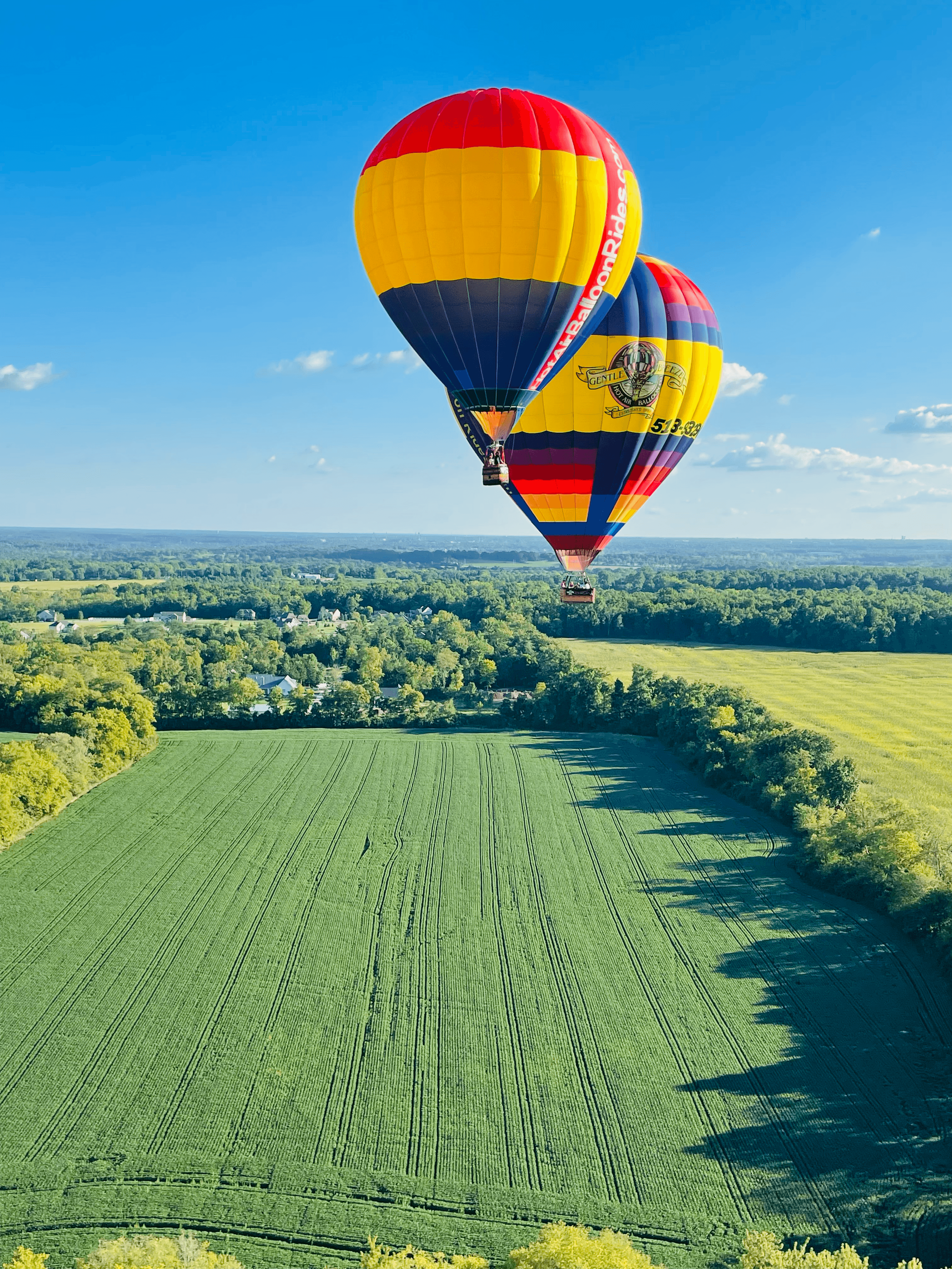 Two vibrant hot air balloons float over a vast green field and a distant forest.